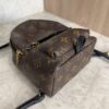 Louis Vuitton Monogram Palm Springs Mini