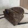 Louis Vuitton Monogram Palm Springs Mini