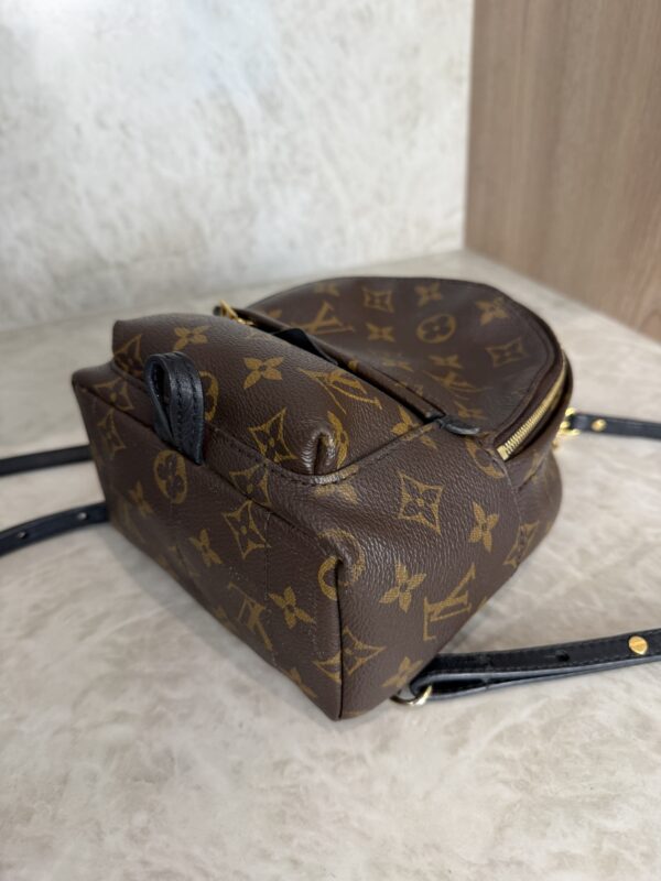 Louis Vuitton Monogram Palm Springs Mini