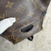 Louis Vuitton Monogram Palm Springs Mini