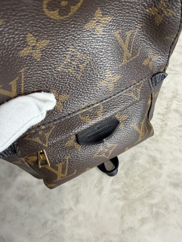 Louis Vuitton Monogram Palm Springs Mini
