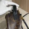 Louis Vuitton Monogram Palm Springs Mini