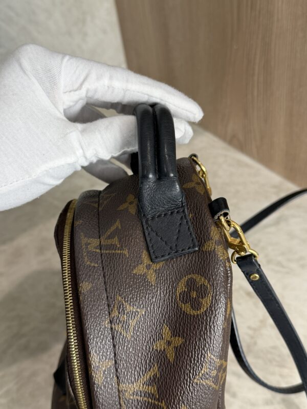 Louis Vuitton Monogram Palm Springs Mini