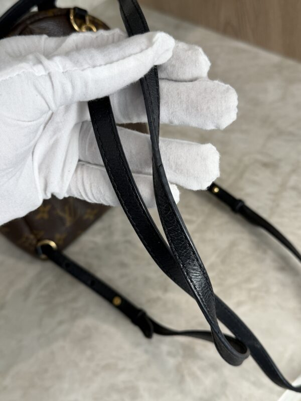 Louis Vuitton Monogram Palm Springs Mini