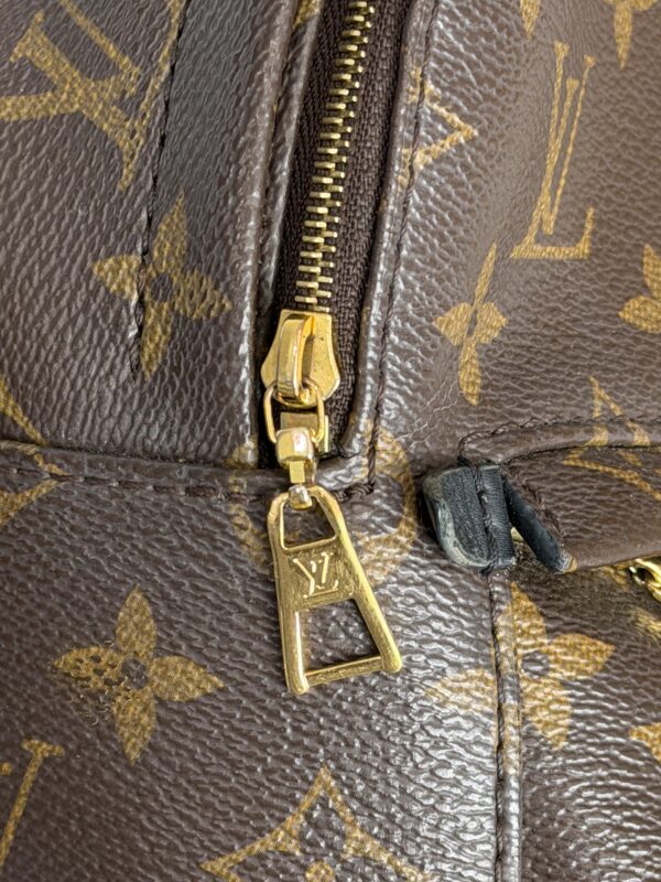 Louis Vuitton Monogram Palm Springs Mini