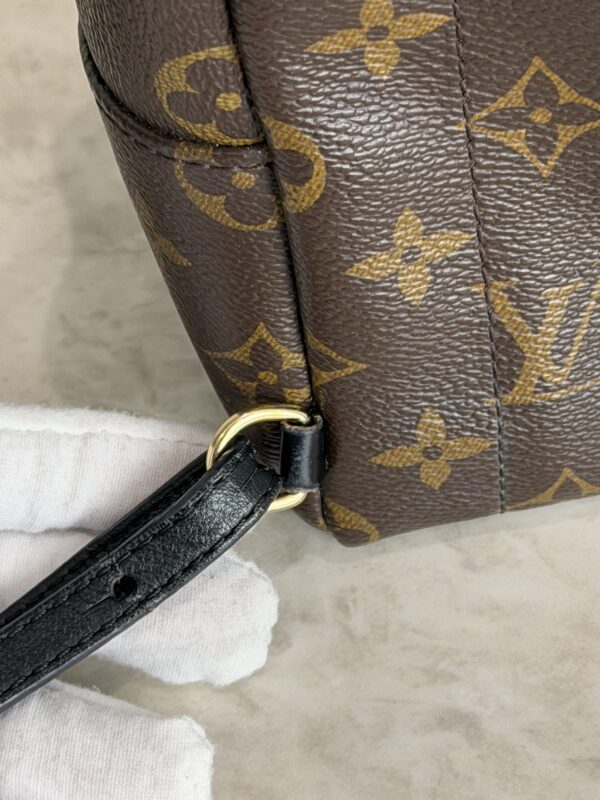 Louis Vuitton Monogram Palm Springs Mini