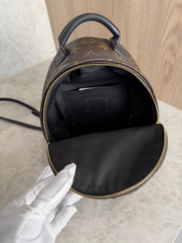Louis Vuitton Monogram Palm Springs Mini