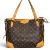 Louis Vuitton Monogram Estrela MM