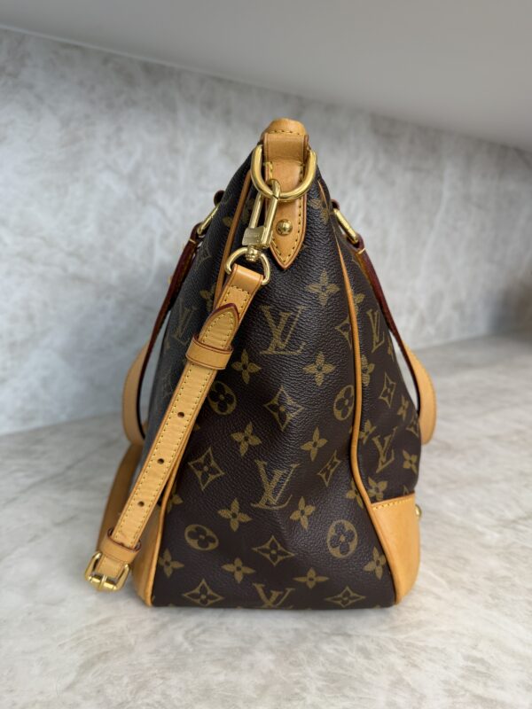 Louis Vuitton Monogram Estrela MM