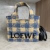 LOEWE Font Gingham Small Raffia Tote Bag