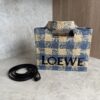 LOEWE Font Gingham Small Raffia Tote Bag