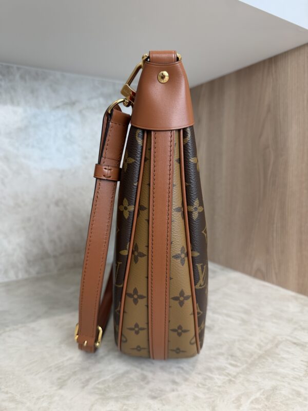 Louis Vuitton Monogram Loop