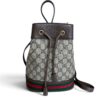 Gucci GG Supreme Monogram Web Small Ophidia Bucket Bag Brown