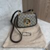 Gucci GG Supreme Monogram Textured Dollar Calfskin Mini Blondie Chain Shoulder Flap Bag Beige Ebony New Acero