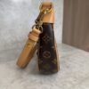 Louis Vuitton Monogram Loop