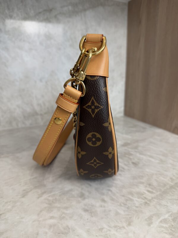 Louis Vuitton Monogram Loop