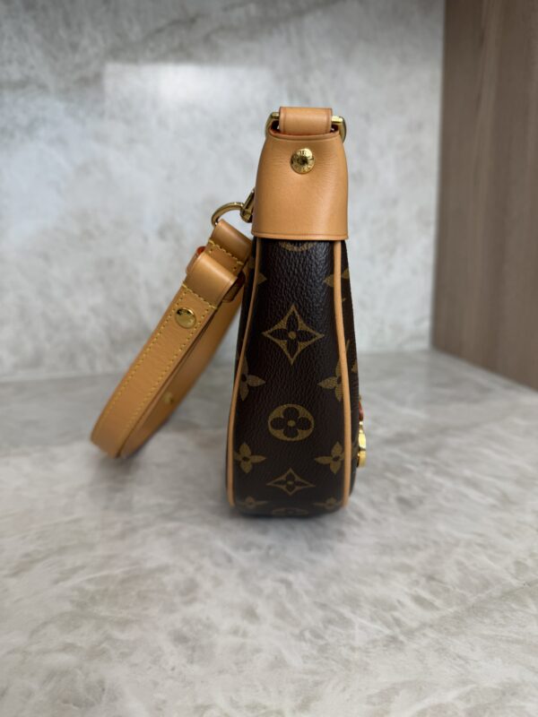 Louis Vuitton Monogram Loop