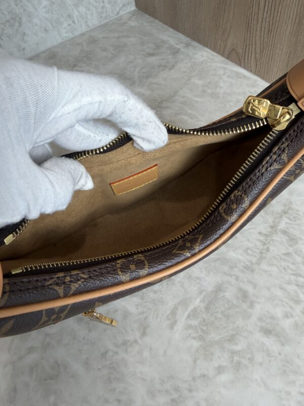 Louis Vuitton Monogram Loop