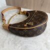 Louis Vuitton Monogram Loop
