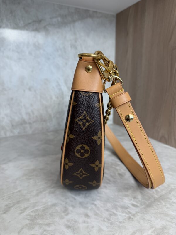 Louis Vuitton Monogram Loop