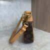 Louis Vuitton Monogram Loop