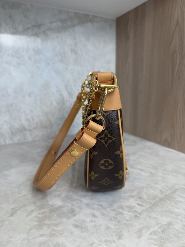 Louis Vuitton Monogram Loop