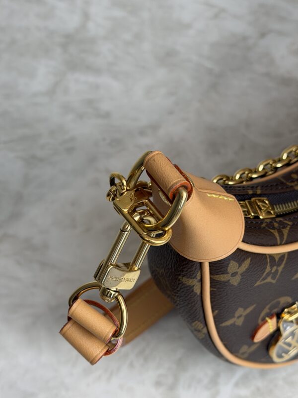 Louis Vuitton Monogram Loop