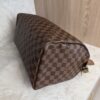Louis Vuitton Damier Ebene Speedy 35