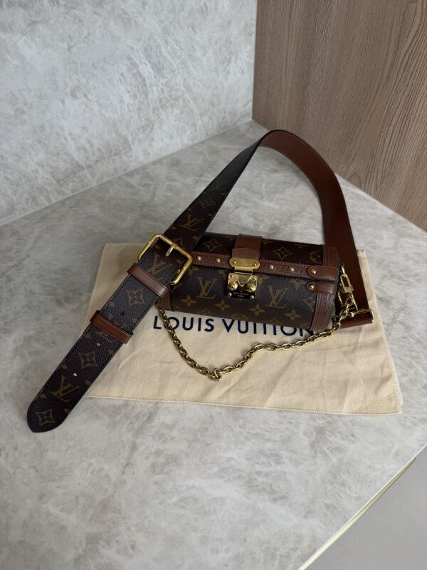 Louis Vuitton Monogram Papillon Trunk