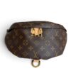 Louis Vuitton Monogram Bumbag