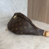 Louis Vuitton Monogram Bumbag