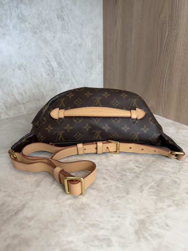 Louis Vuitton Monogram Bumbag