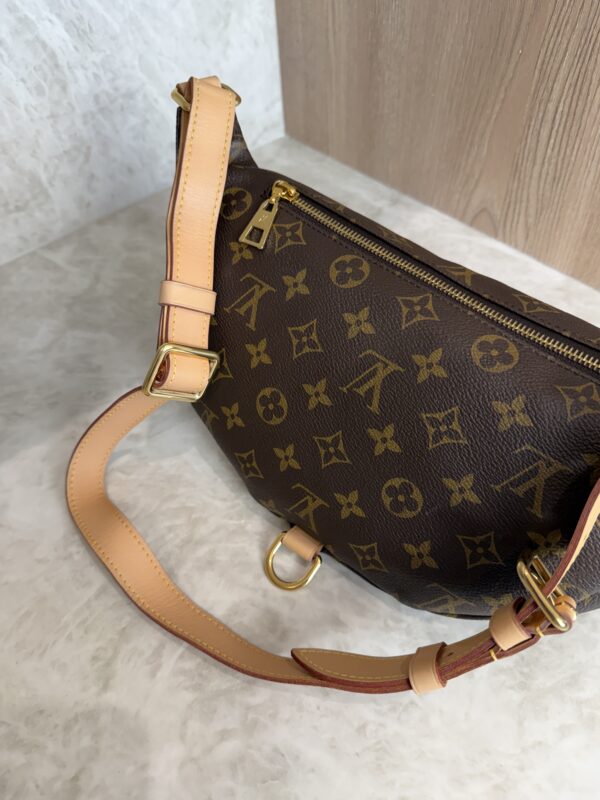 Louis Vuitton Monogram Bumbag