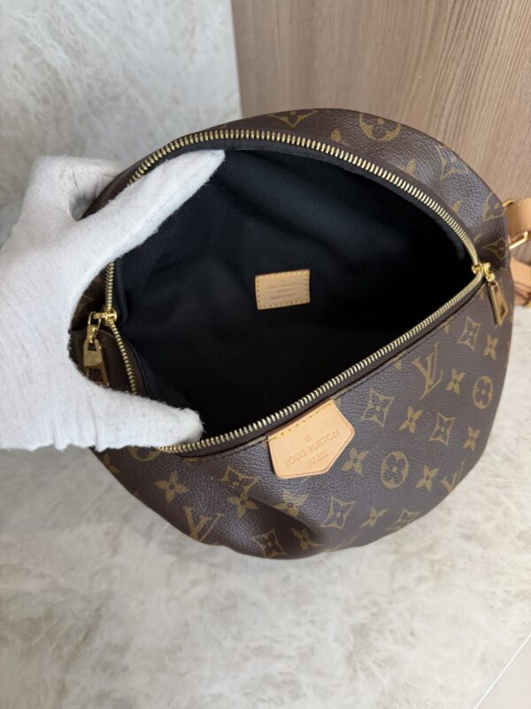 Louis Vuitton Monogram Bumbag