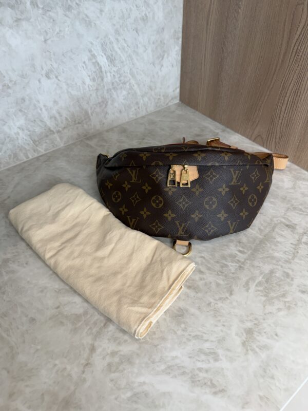 Louis Vuitton Monogram Bumbag