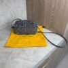 Goyard Cap Vert Bag Coated Canvas Grey