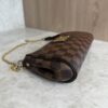Louis Vuitton Damier Ebene Eva