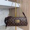 Louis Vuitton Damier Ebene Eva