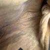 Fendi Zucca Nappa Nuvolata Vitello Tortuga Medium Spy Hobo Tobacco Moro
