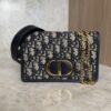 Christian Dior Oblique 30 Montaigne 2-In-1 Pouch Blue