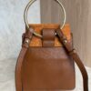 Chloe Faye Bracelet Crossbody Bag Leather and Suede Mini