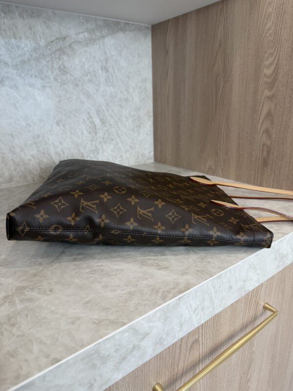 Louis Vuitton Monocgram Monogram Carry It