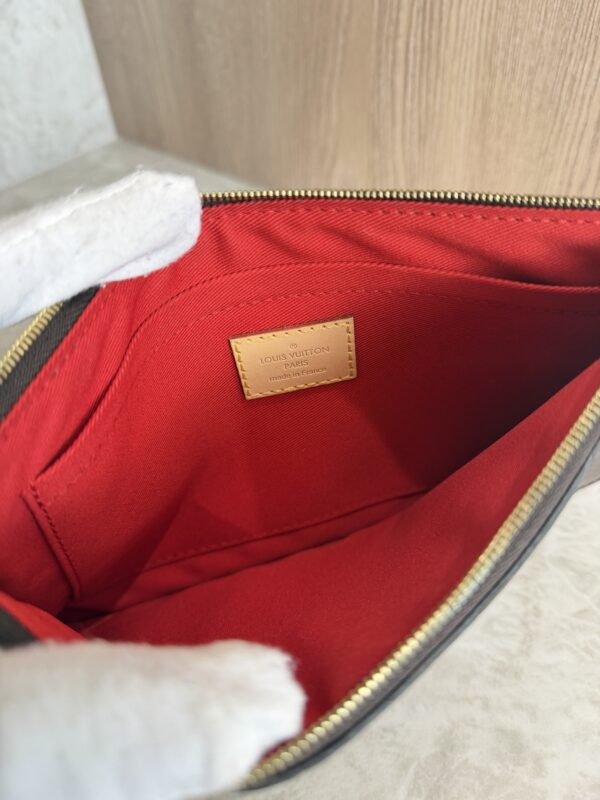 Louis Vuitton Monocgram Monogram Carry It