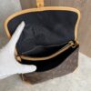 Louis Vuitton Monogram Diane