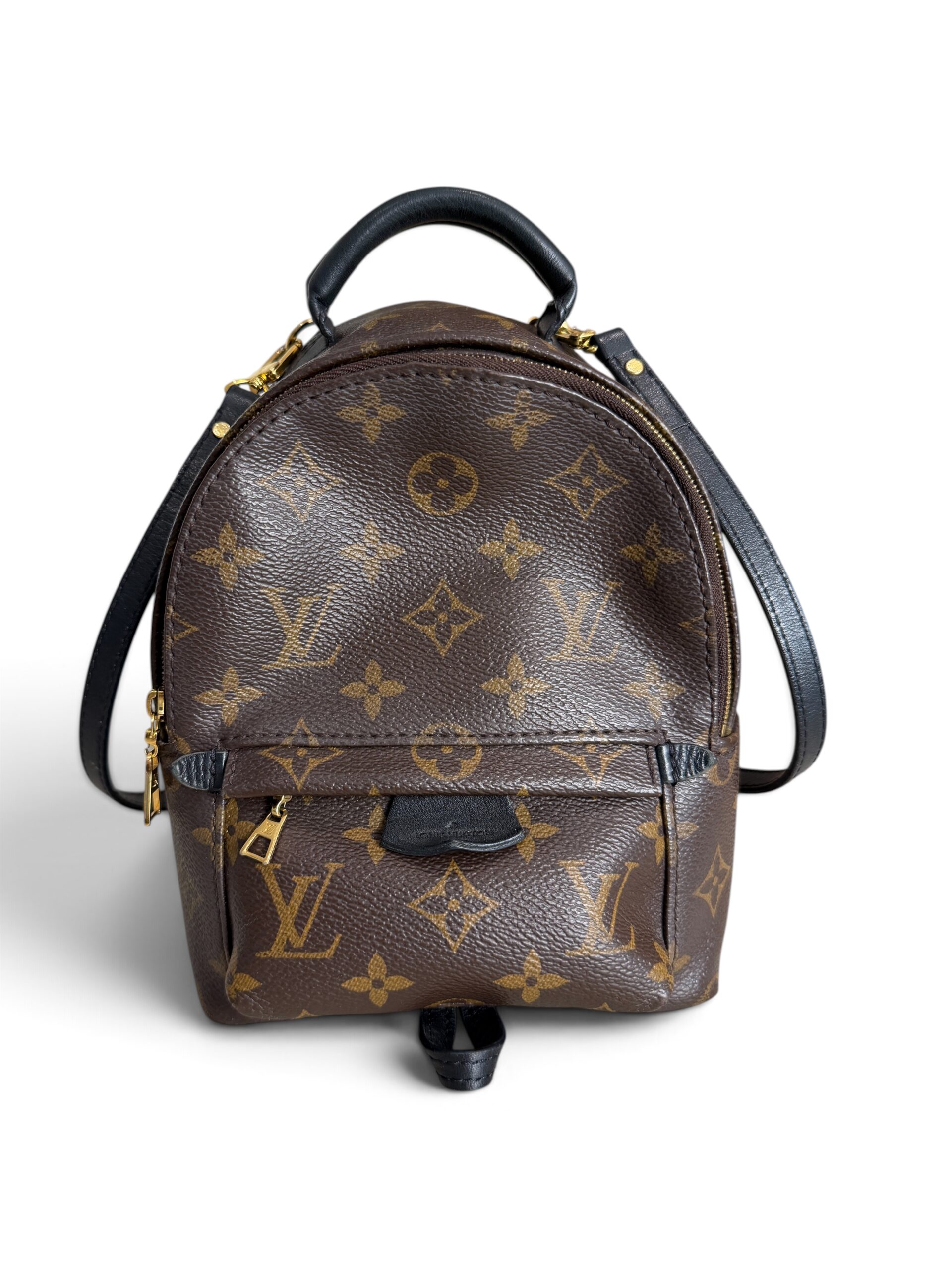 Louis Vuitton Monogram Palm Springs Mini