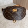 Louis Vuitton Monogram Bumbag