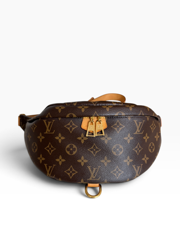 Louis Vuitton Monogram Bumbag