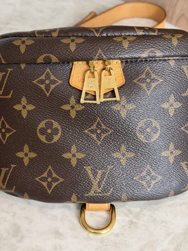 Louis Vuitton Monogram Bumbag
