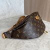 Louis Vuitton Monogram Bumbag