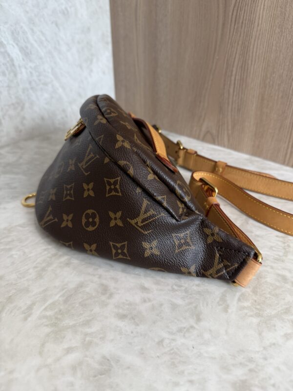 Louis Vuitton Monogram Bumbag